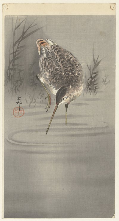 Klipp i vann av Ohara Koson