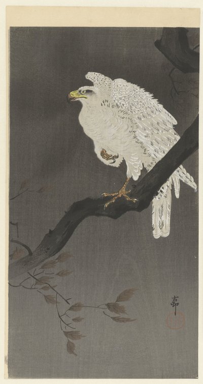Snøørn på en gren av Ohara Koson