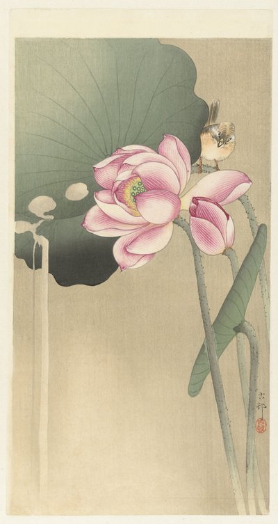 Songbird og Lotus av Ohara Koson