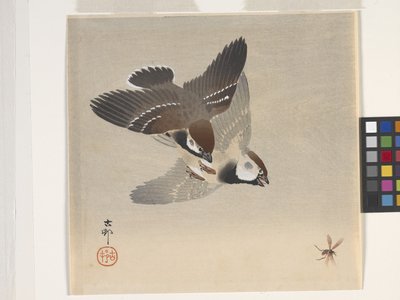 Sparrows Chasing Flying Insect (farget treblokktrykk) av Ohara Koson