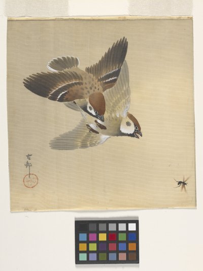 Spurver som jager flygende insekter (blekk og farge på silke) av Ohara Koson