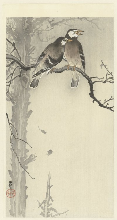 To grå stær av Ohara Koson