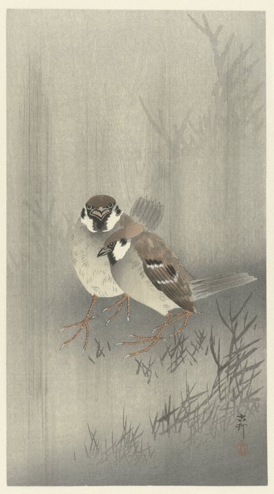 To ringspurver i regnet av Ohara Koson