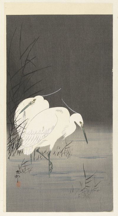 To egrets i sivet av Ohara Koson