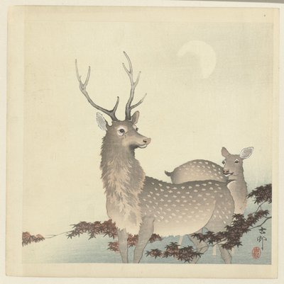 To hjort av Ohara Koson