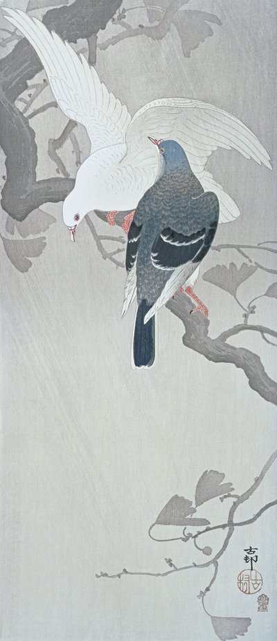 To duer i regnet på en gren av et ginkgo-tre av Ohara Koson