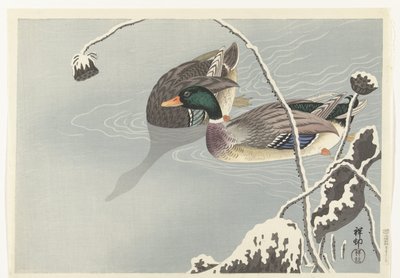 To stokkand nær en snødekt lotus av Ohara Koson