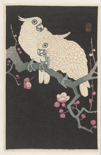 To kakaduer og plommeblomst av Ohara Koson