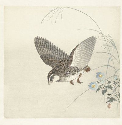 Flygende vaktel av Ohara Koson