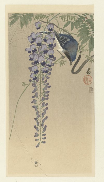 Fluesnapper ved blåregn av Ohara Koson