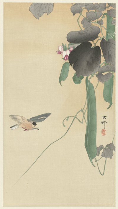 Fugl ved blomstrende bønneplante av Ohara Koson