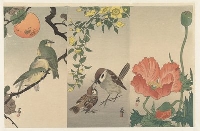 Fugler og planter av Ohara Koson