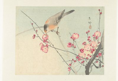 Sangfugl på blomstergren av Ohara Koson