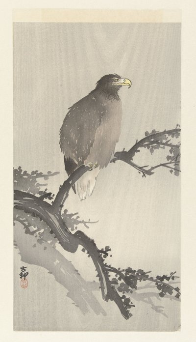 Bald ørn på gren av Ohara Koson