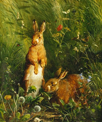 Harer, 1878 av Olaf August Hermansen