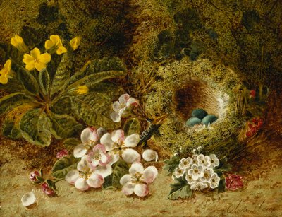 Epleblomster, et Primrose- og fuglerede på en mosegrodd bank, av Oliver Clare
