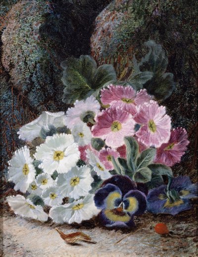 Stilleben med primulaer og stemorsblomster. Maleri av Oliver Clare (ca. 1853–1927). Privat samling. av Oliver Clare