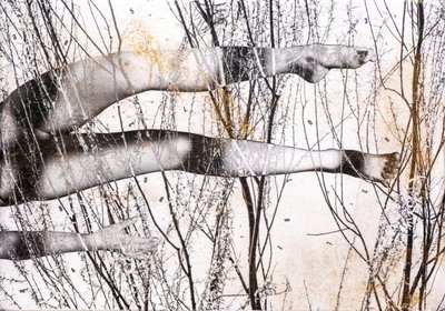 Flyvende bein, 2022 (blandet teknikk på tre) av Olivia Gozzano