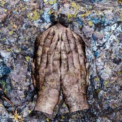 Licheni, 2024 (digitale blandede medier) av Olivia Gozzano