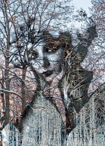 Vinterportrett, 2021 (digital blandet media) av Olivia Gozzano