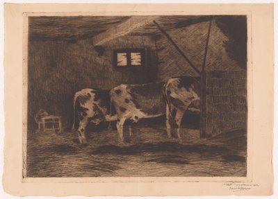 Tre kyr i et fjøs, sett bakfra av Omer Coppens