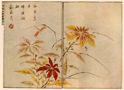 Øyenstikker med planter, 1746, 1924. av Ooka Shunboku
