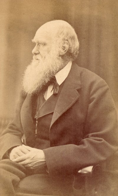 Portrett av Charles Darwin i en alder av 72, ca. 1871 (albumtrykk) av Oscar Gustav Rejlander