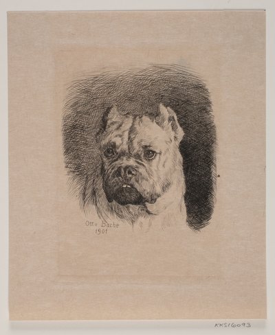 Et hundehode av Otto Bache