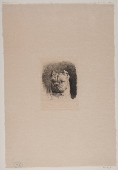 Et hundehode av Otto Bache