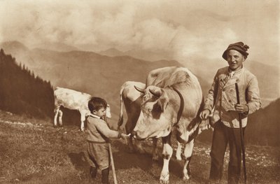 På Alpen av Otto Ballerstedt