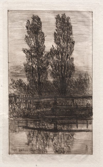 Popler, Royal Garden, Schleissheim, 1879. av Otto H. Bacher
