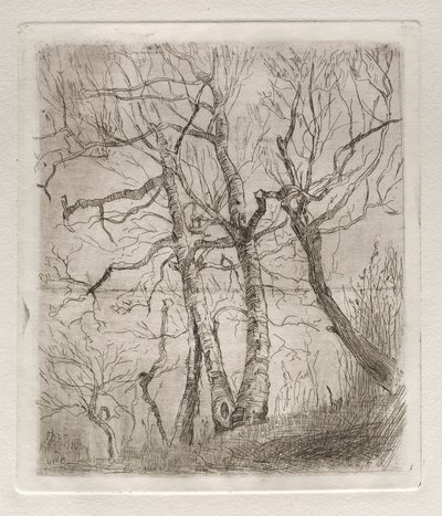 Trær, 1878. av Otto H. Bacher