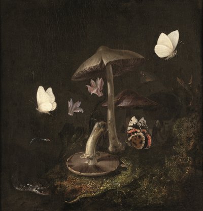 En #39;sotto bosco#39; med sopp, sommerfugler, en øyenstikker, en slange og en øgle (olje på lerret) av Otto Marseus van Schrieck