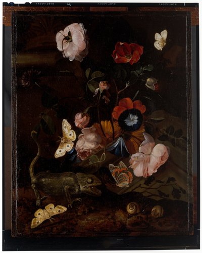Skog stilleben av Otto Marseus  van Schrieck