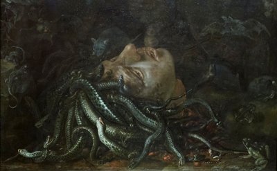 Leder av Medusa av Otto Marseus  van Schrieck