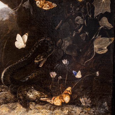 Slanger, padder og sommerfugler av Otto Marseus van Schrieck