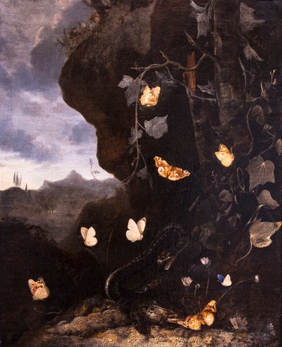 Slanger, padder og sommerfugler av Otto Marseus van Schrieck