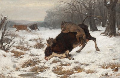 En ku blir angrepet av ulv av Otto von Thoren