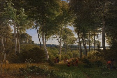 Delhoved Wood nær Lake Skarre, Sjælland. Ettermiddagslys av P.C. Skovgaard