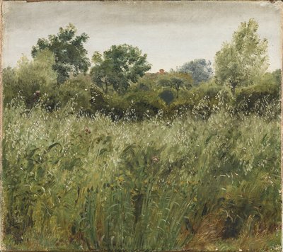Havremark ved Vejby av P.C. Skovgaard