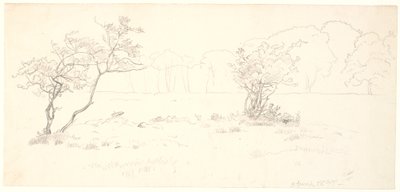 Fra Eremitagesletten i Dyrehaven. av P.C. Skovgaard