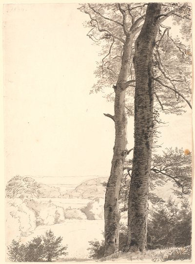 Landskap ved Skarritsø med to høye trær, bøk, i forgrunnen. av P.C. Skovgaard