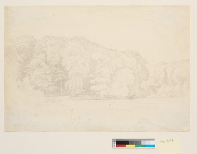 Skovsø med store bøketrær i bakgrunnen. av P.C. Skovgaard