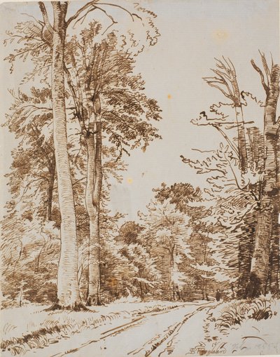 Skogsvei. Iselinge av P.C. Skovgaard