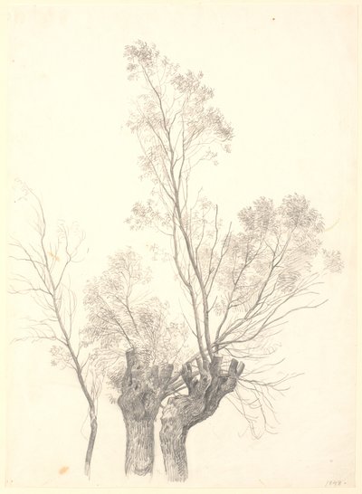 Studie av forkrøplede vier. av P.C. Skovgaard