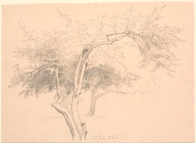 Studie av tretopper. av P.C. Skovgaard