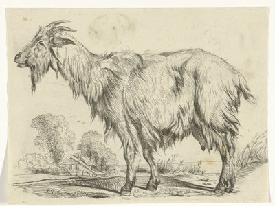 stående geit av P.J. Neumans