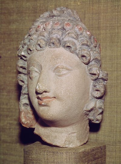 Hode for en Buddha, gresk-buddhistisk stil, 1.-4. århundre (stukk) av Pakistani School
