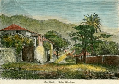 En gate i Roseau, Dominica, c1880. av Pann