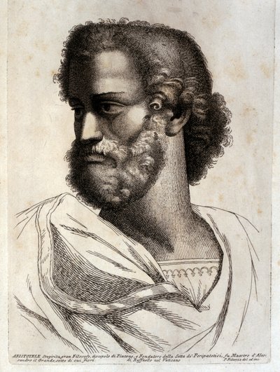 ARISTOTELES av Paolo Fidanza